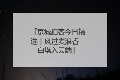 京城拍客今日精选｜风过麦浪香 白塔入云端